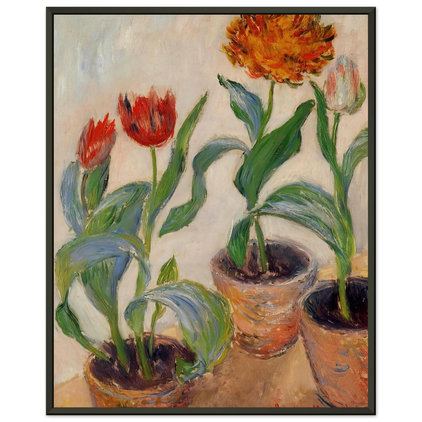 claude monet  Three Pots of Tulips Framed Art Print  - Aluminum Frame - 70x100 cm / 28x40 inches