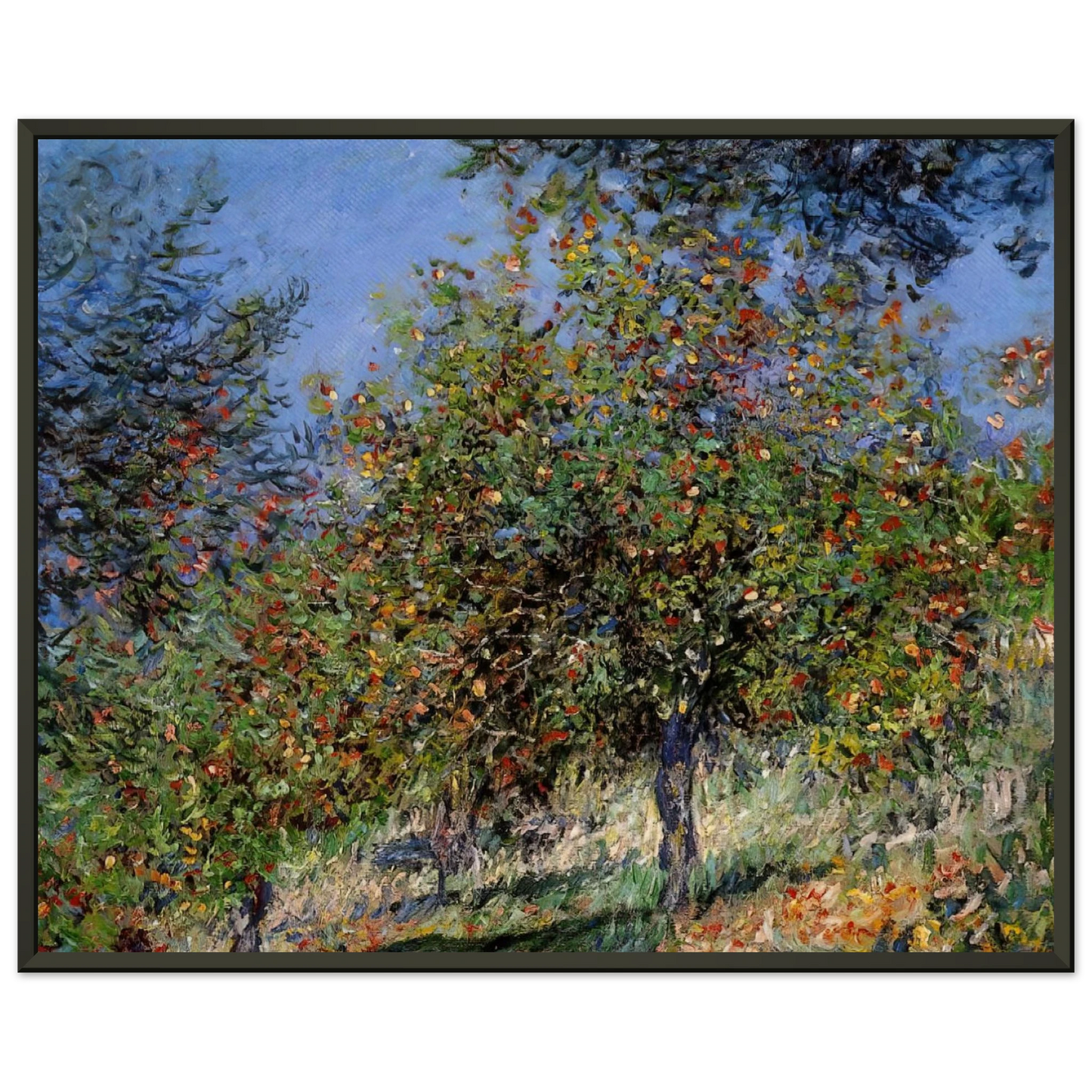 claude monet  Apple Trees on the Chantemesle Hill Framed Art Print  - Aluminum Frame - 70x100 cm / 28x40 inches