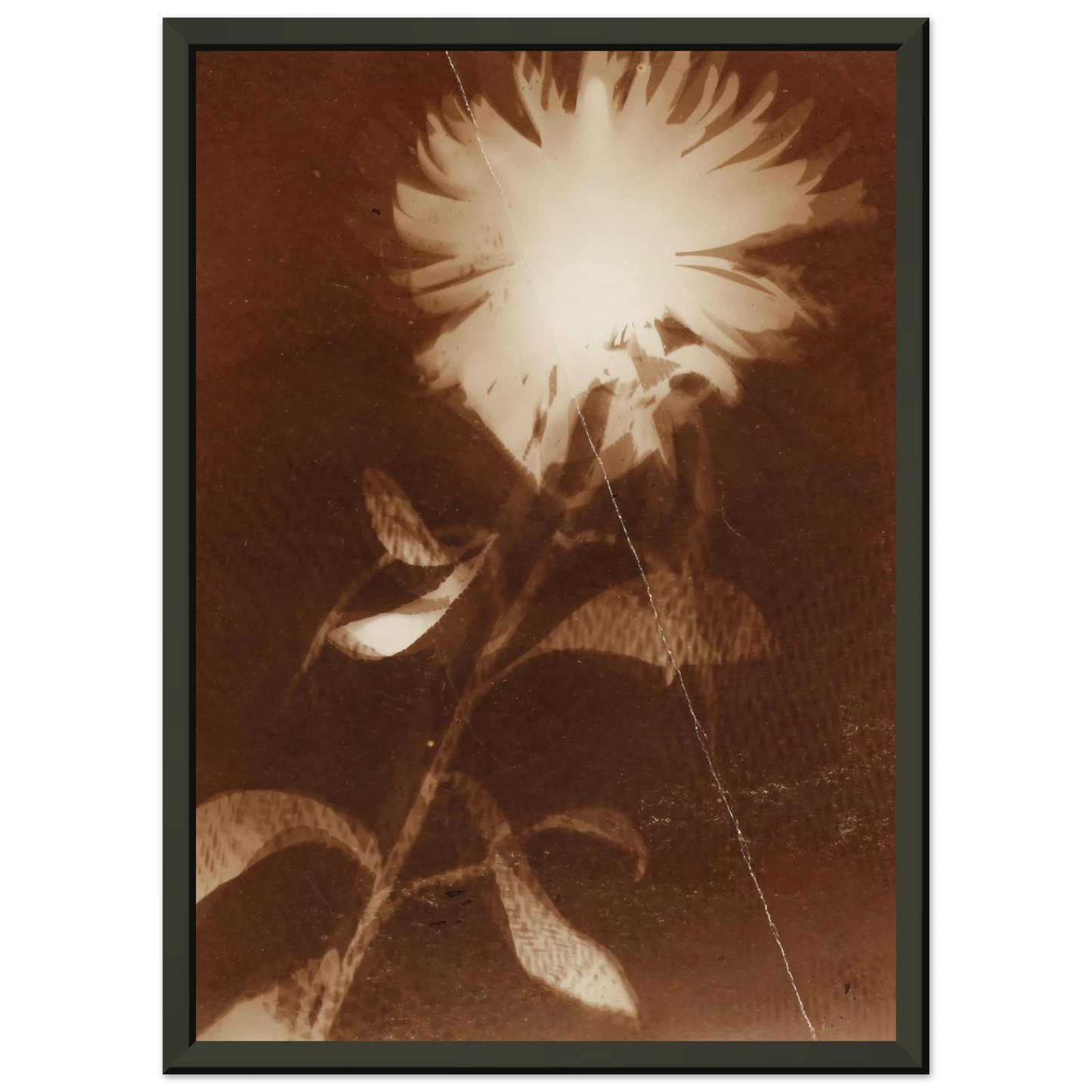 76453019-85f6-4810-a6c5-58c754ed6b32