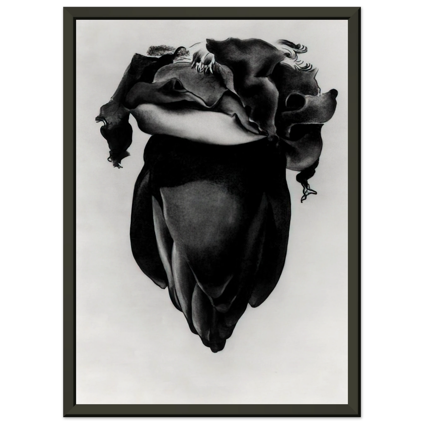 Georgia OKeeffe  Banana Flower Framed Art Print  - Aluminum Frame - 40x50 cm / 16x20 inches