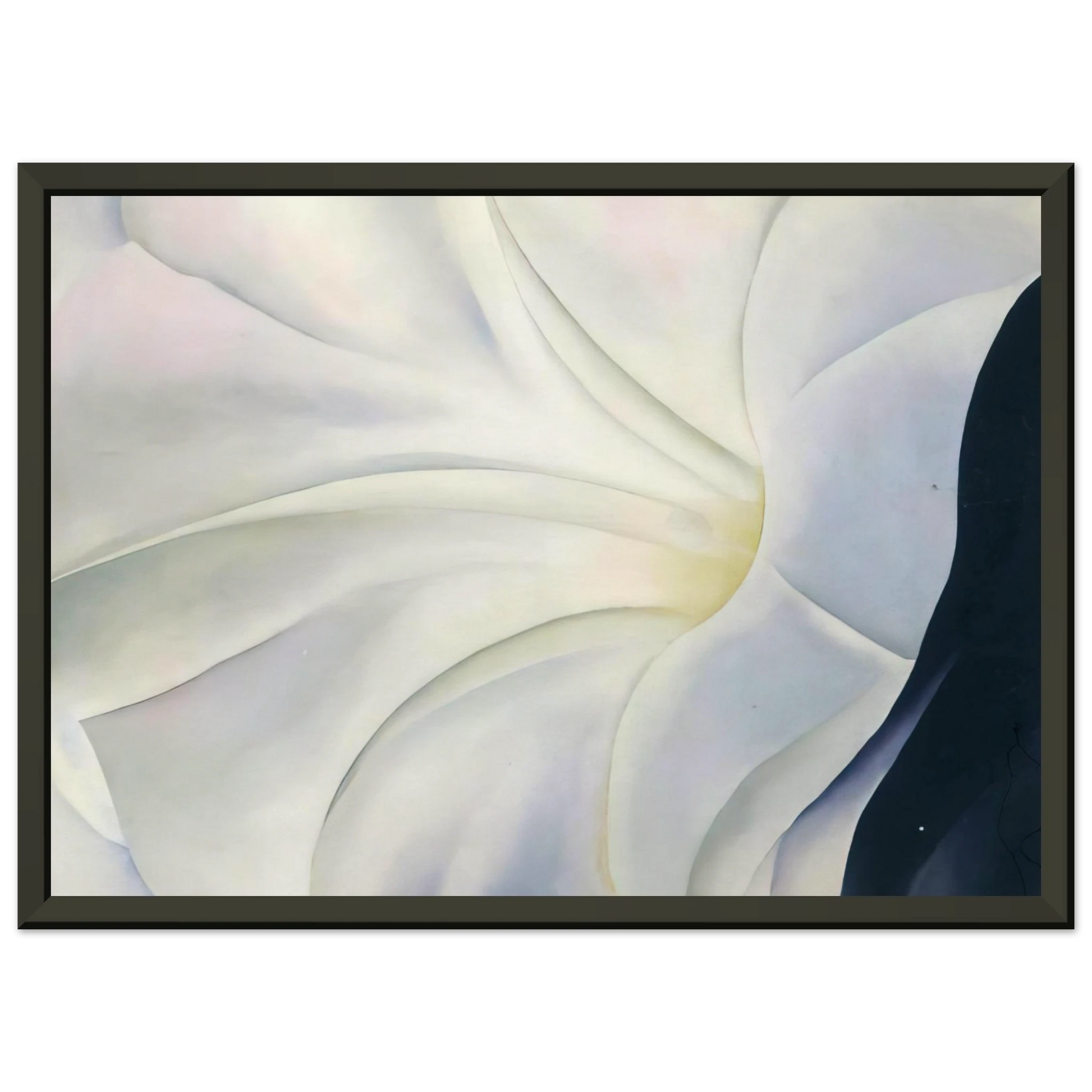 Georgia OKeeffe  Morning Glory with Black Framed Art Print  - Aluminum Frame - 40x50 cm / 16x20 inches