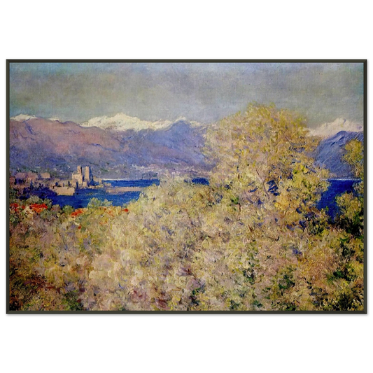 claude monet  Antibes  View of the Salis Gardens Framed Art Print  - Aluminum Frame - 21x29.7 cm / 8x12"