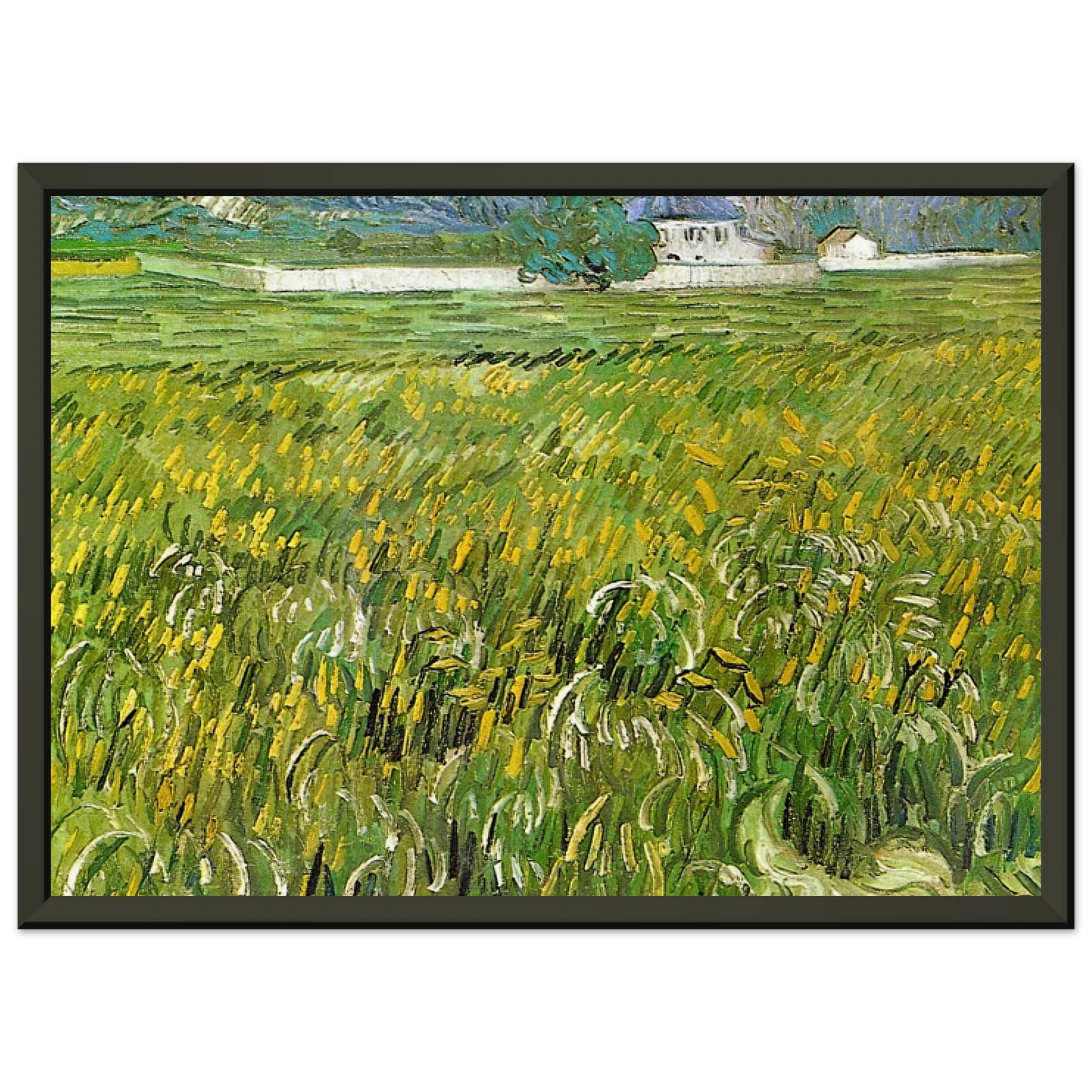 Vincent van Gogh  Wheat Field at Auvers with White House Framed Art Print  - Aluminum Frame - 60x80 cm / 24x32 inches