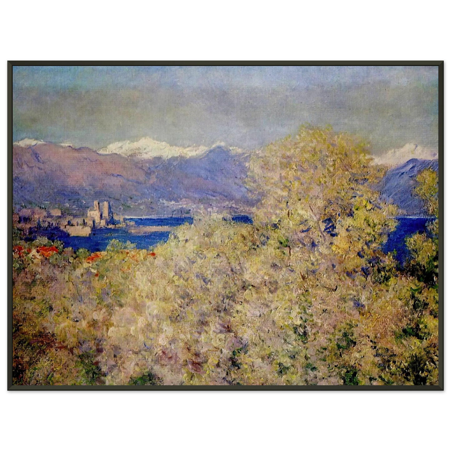 claude monet  Antibes  View of the Salis Gardens Framed Art Print  - Aluminum Frame - 70x100 cm / 28x40 inches