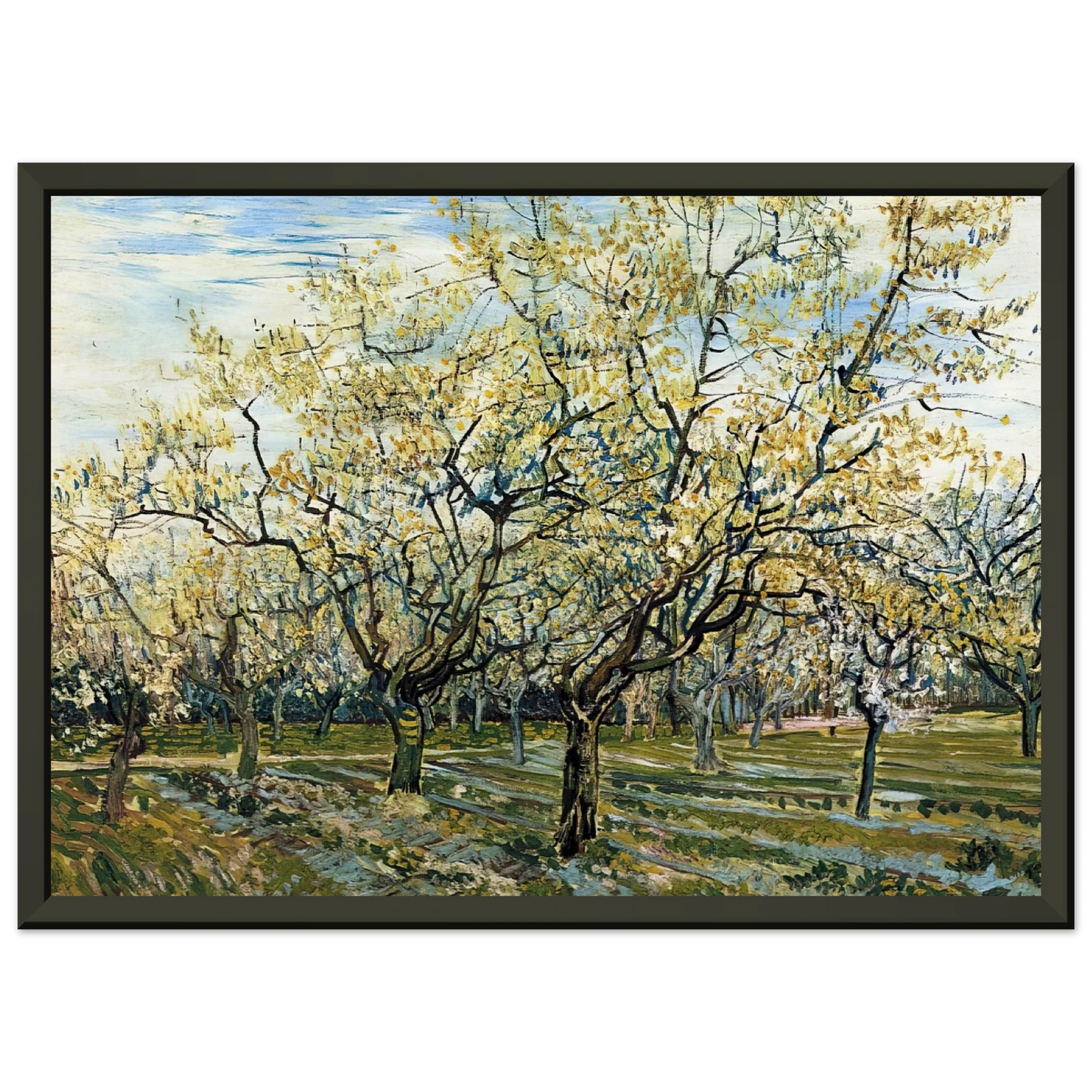 Vincent van Gogh  Orchard with Blossoming Plum Trees Framed Art Print  - Aluminum Frame - 60x80 cm / 24x32 inches