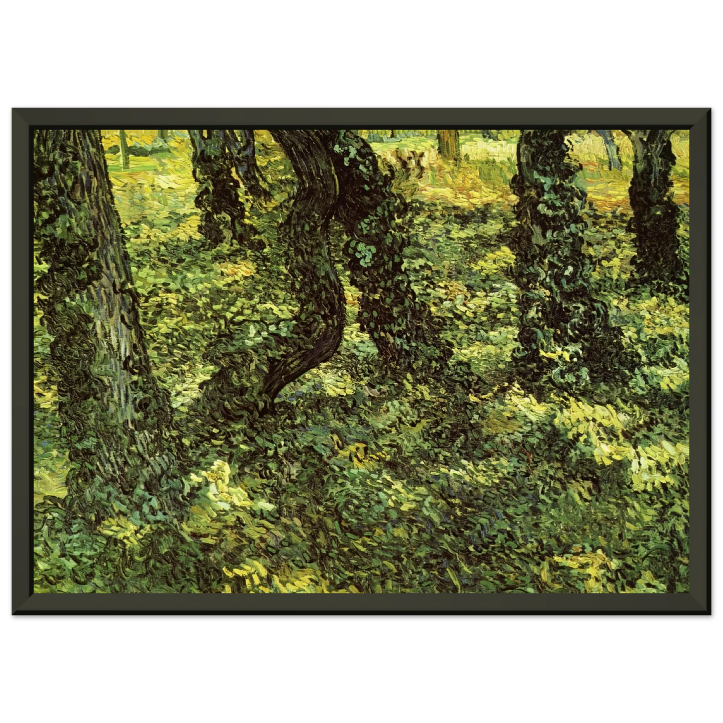 Vincent van Gogh  Trunks of Trees with Ivy Framed Art Print  - Aluminum Frame - 40x50 cm / 16x20 inches