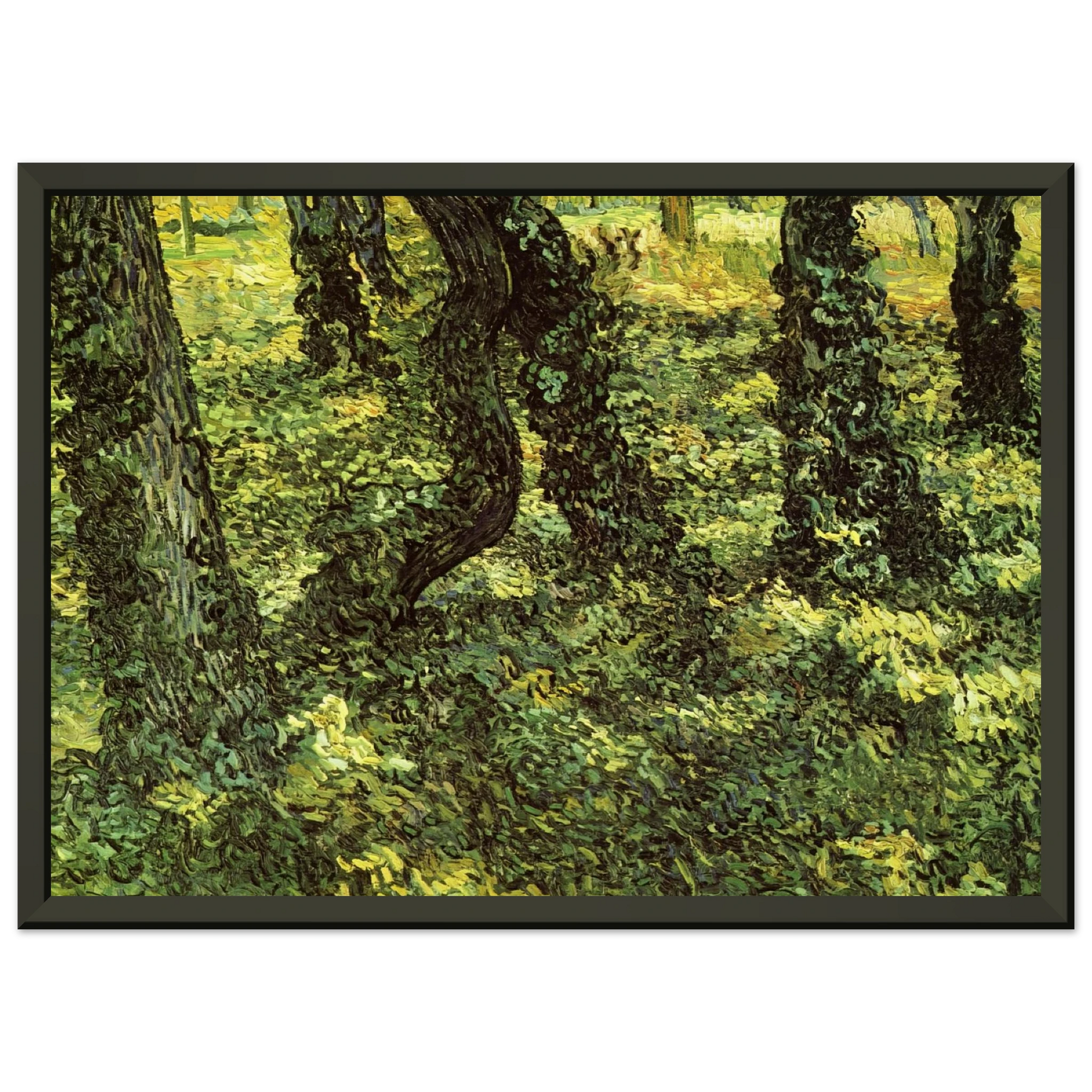 Vincent van Gogh  Trunks of Trees with Ivy Framed Art Print  - Aluminum Frame - 40x50 cm / 16x20 inches
