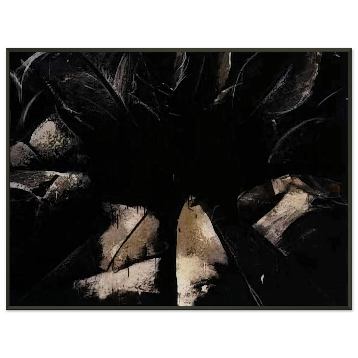 Jay DeFeo  Jay DeFeoBIGCabbage Rose Framed Art Print  - Aluminum Frame - 40x50 cm / 16x20 inches