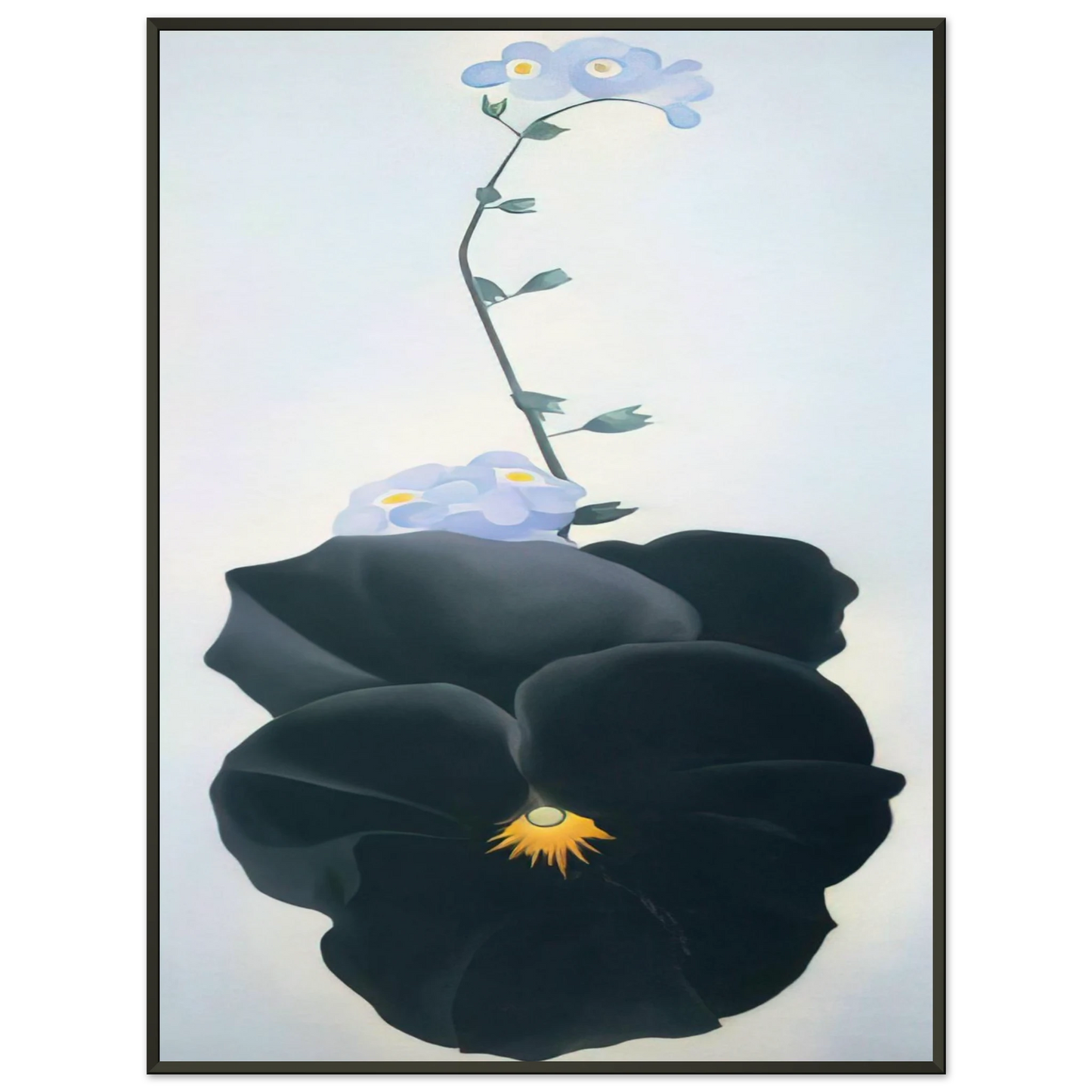 Georgia OKeeffe  Pansy Framed Art Print  - Aluminum Frame - 40x50 cm / 16x20 inches