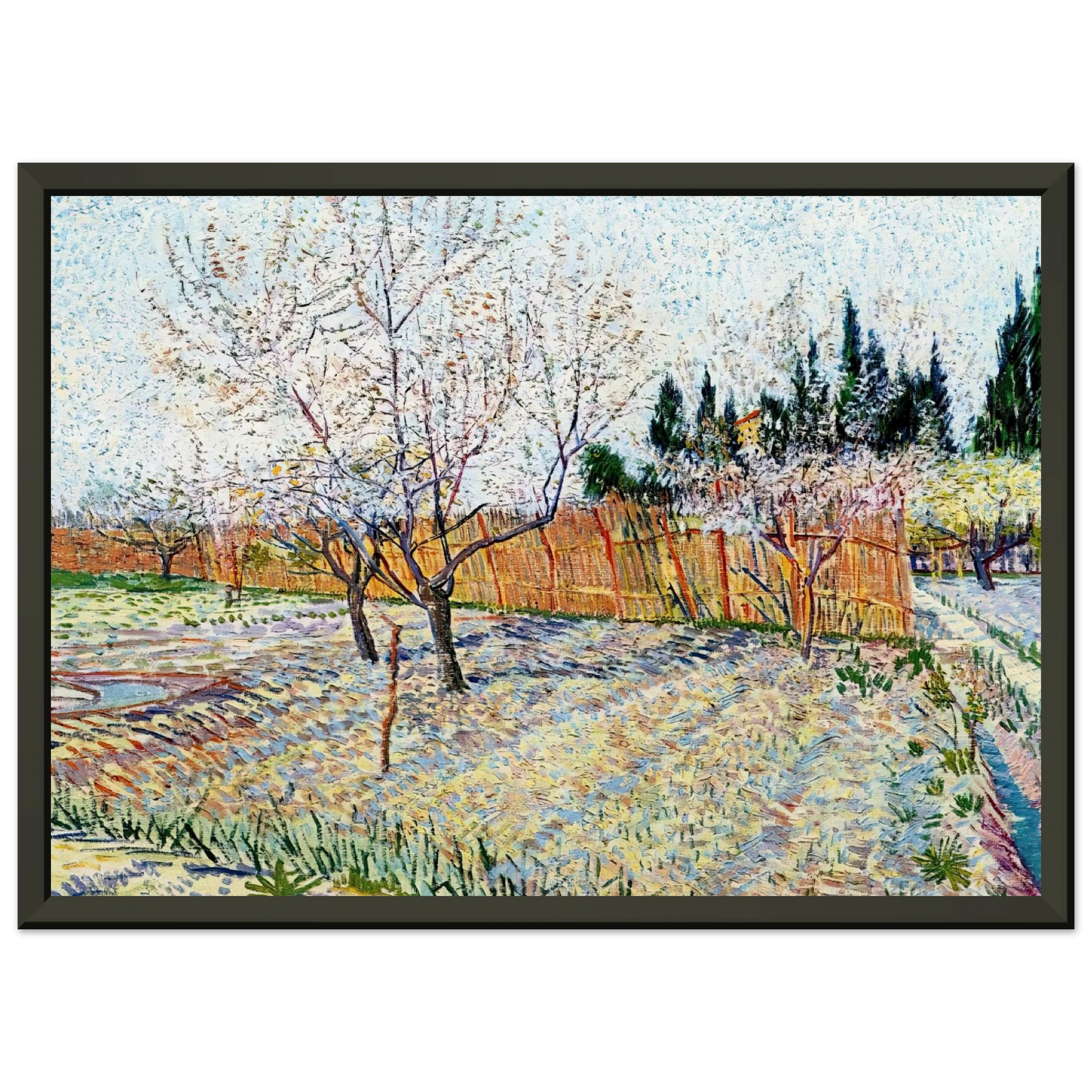 Vincent van Gogh  Orchard with Peach Trees in Blossom Framed Art Print  - Aluminum Frame - 60x80 cm / 24x32 inches