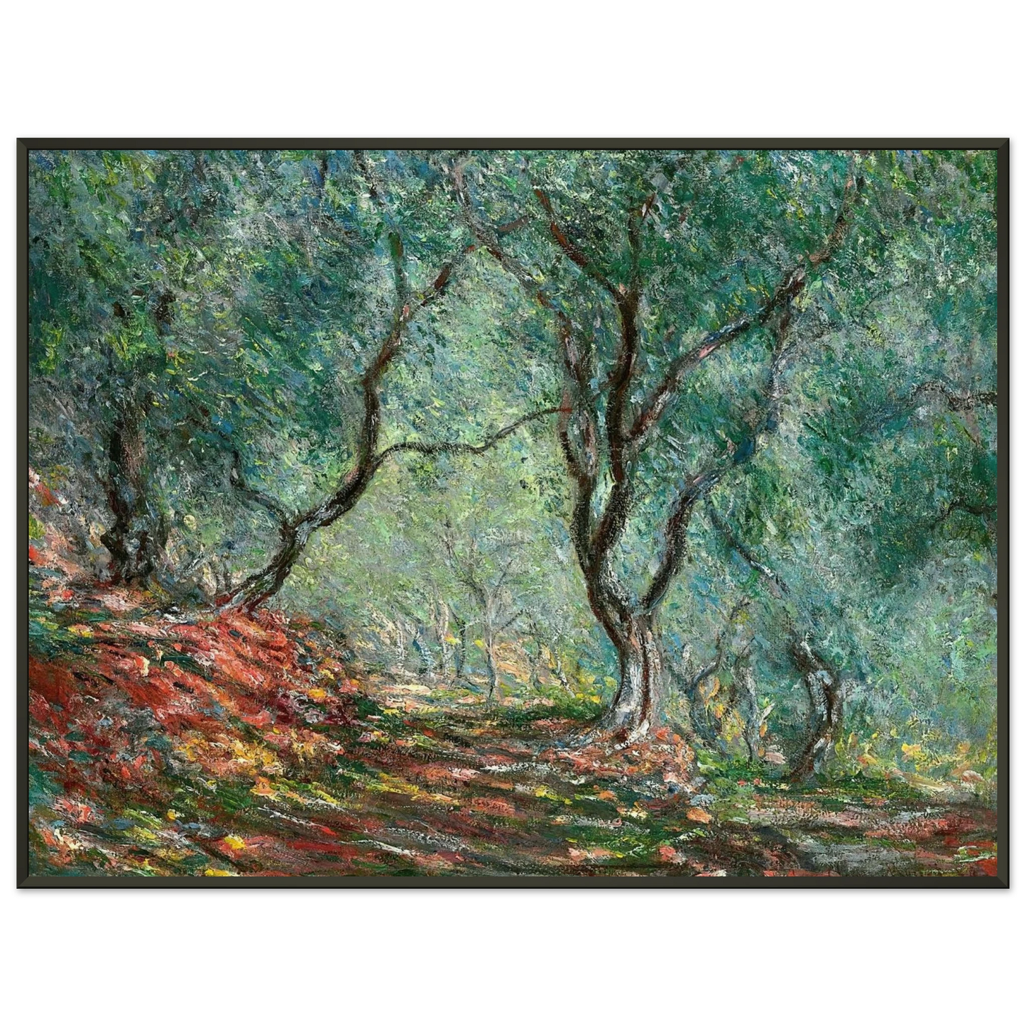 claude monet  Olive Tree Wood in the Moreno Garden Framed Art Print  - Aluminum Frame - 60x80 cm / 24x32 inches