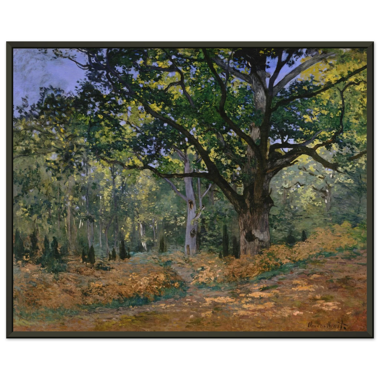 claude monet  The Bodmer Oak Fontainebleau Framed Art Print  - Aluminum Frame - 60x80 cm / 24x32 inches