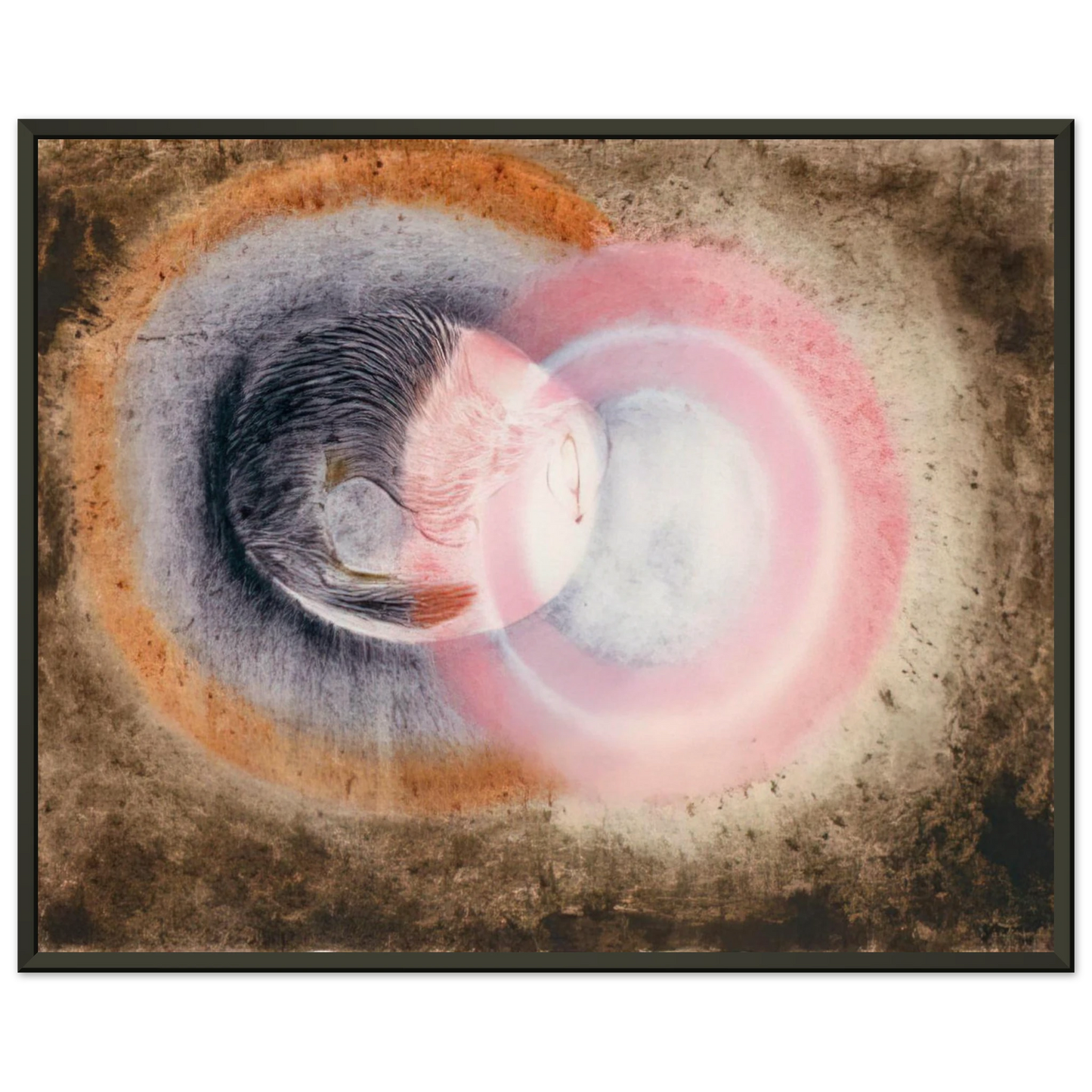 a0f84bb8-a626-4dc9-bc3b-6458f51b14b9