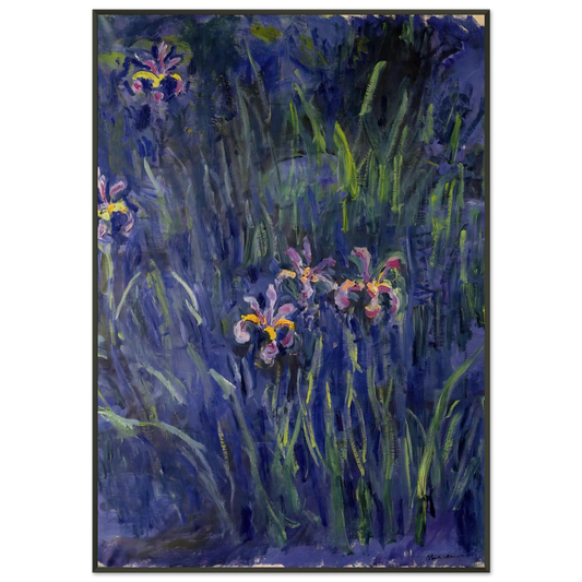 claude monet  Irises 2 Framed Art Print  - Aluminum Frame - 21x29.7 cm / 8x12"