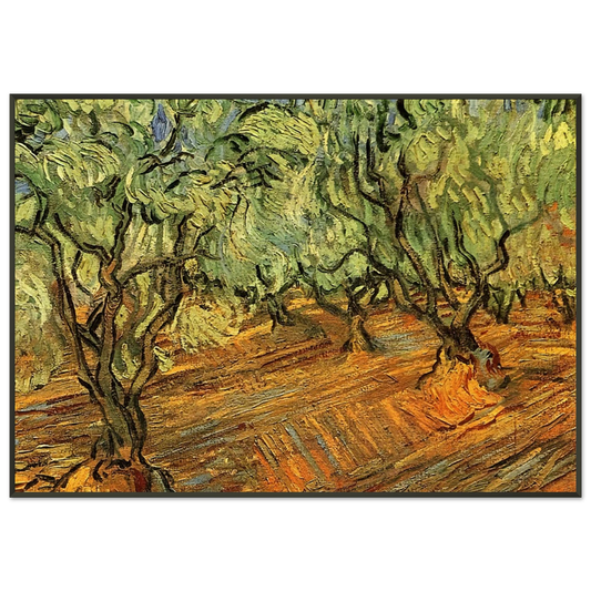 Vincent van Gogh  Olive Grove  Bright Blue Sky Framed Art Print  - Aluminum Frame - 21x29.7 cm / 8x12"
