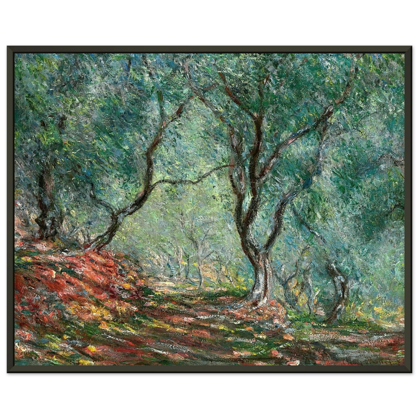 claude monet  Olive Tree Wood in the Moreno Garden Framed Art Print  - Aluminum Frame - 40x50 cm / 16x20 inches