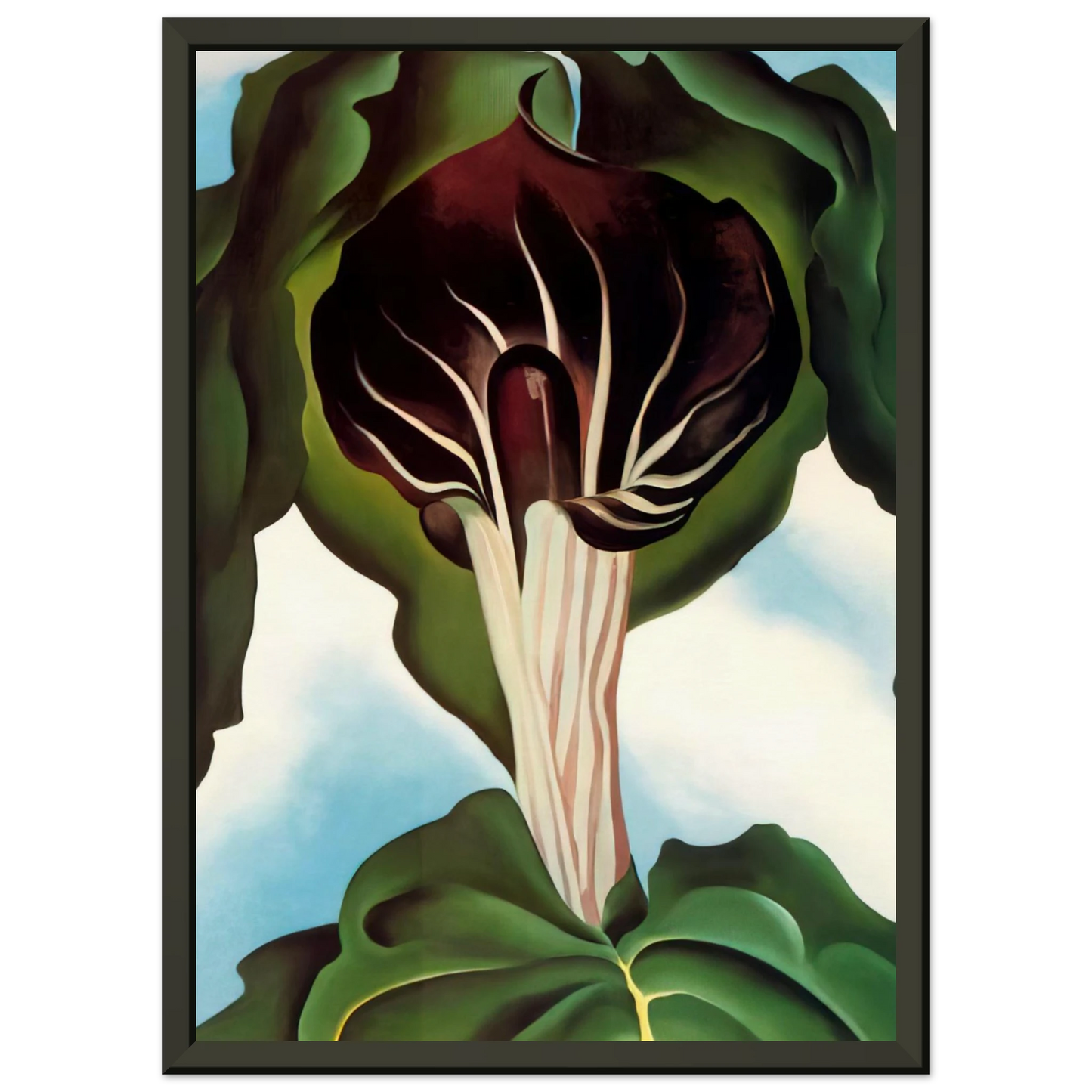 Georgia OKeeffe  JackinthePulpit III Framed Art Print  - Aluminum Frame - 60x80 cm / 24x32 inches