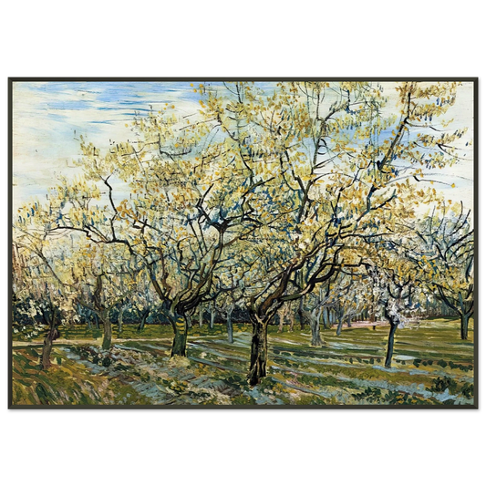 Vincent van Gogh  Orchard with Blossoming Plum Trees Framed Art Print  - Aluminum Frame - 21x29.7 cm / 8x12"