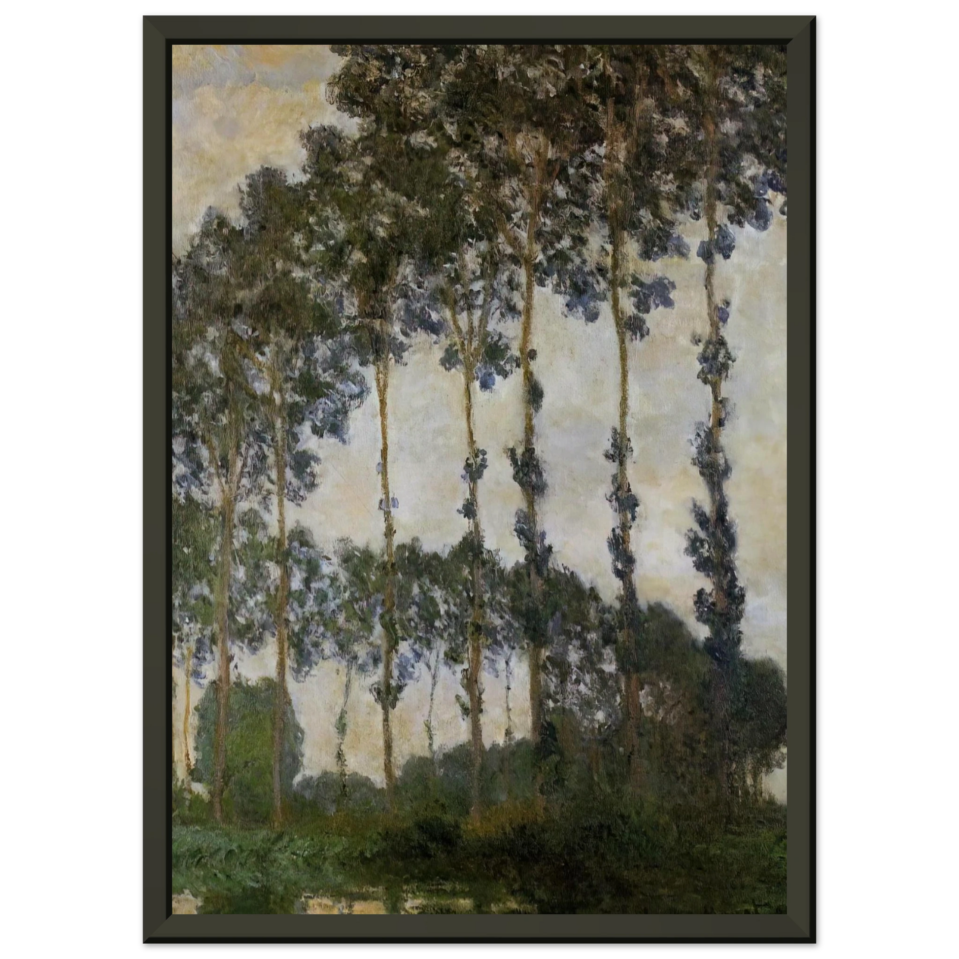 claude monet  Poplars at Giverny Framed Art Print  - Aluminum Frame - 40x50 cm / 16x20 inches