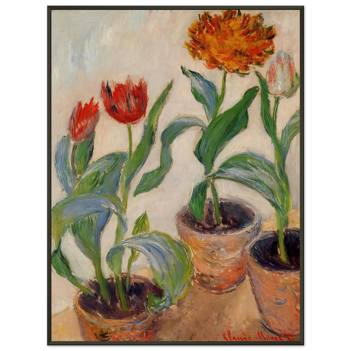 claude monet  Three Pots of Tulips Framed Art Print  - Aluminum Frame - 40x50 cm / 16x20 inches