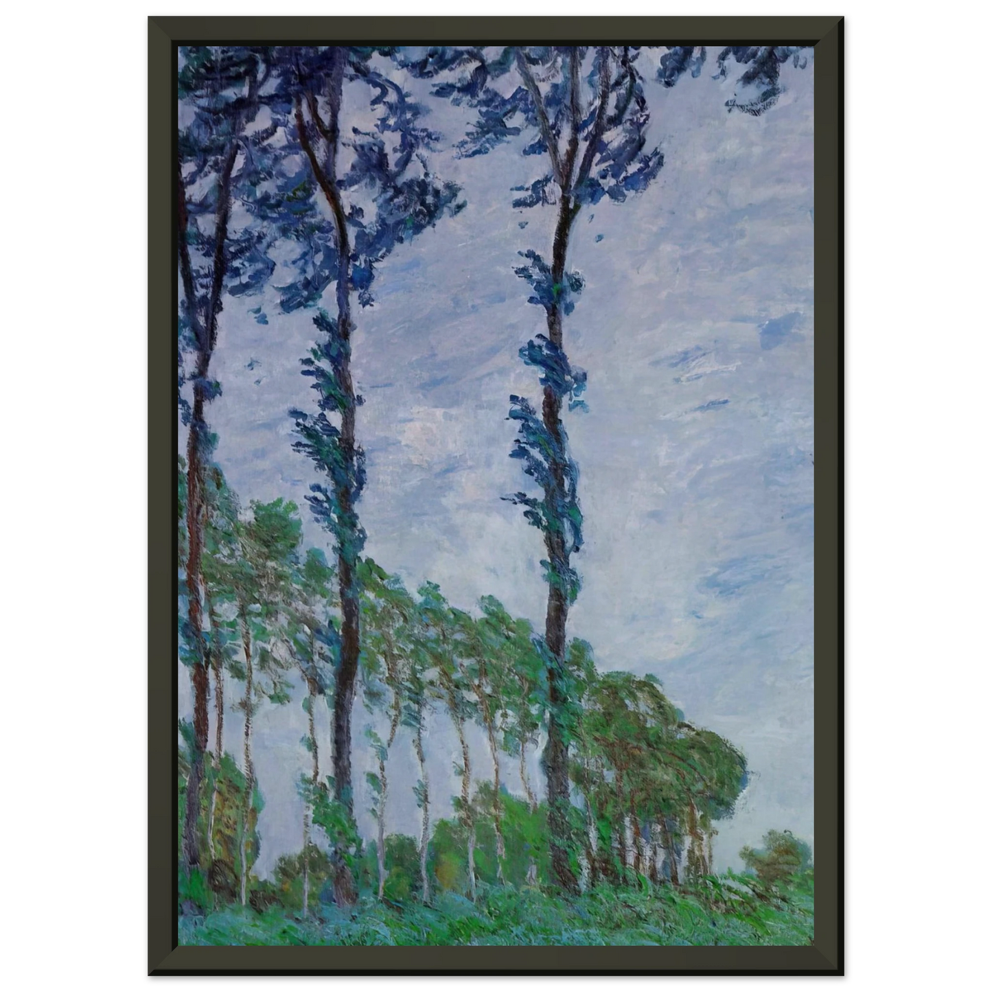 claude monet  Poplars Wind Effect Framed Art Print  - Aluminum Frame - 70x100 cm / 28x40 inches