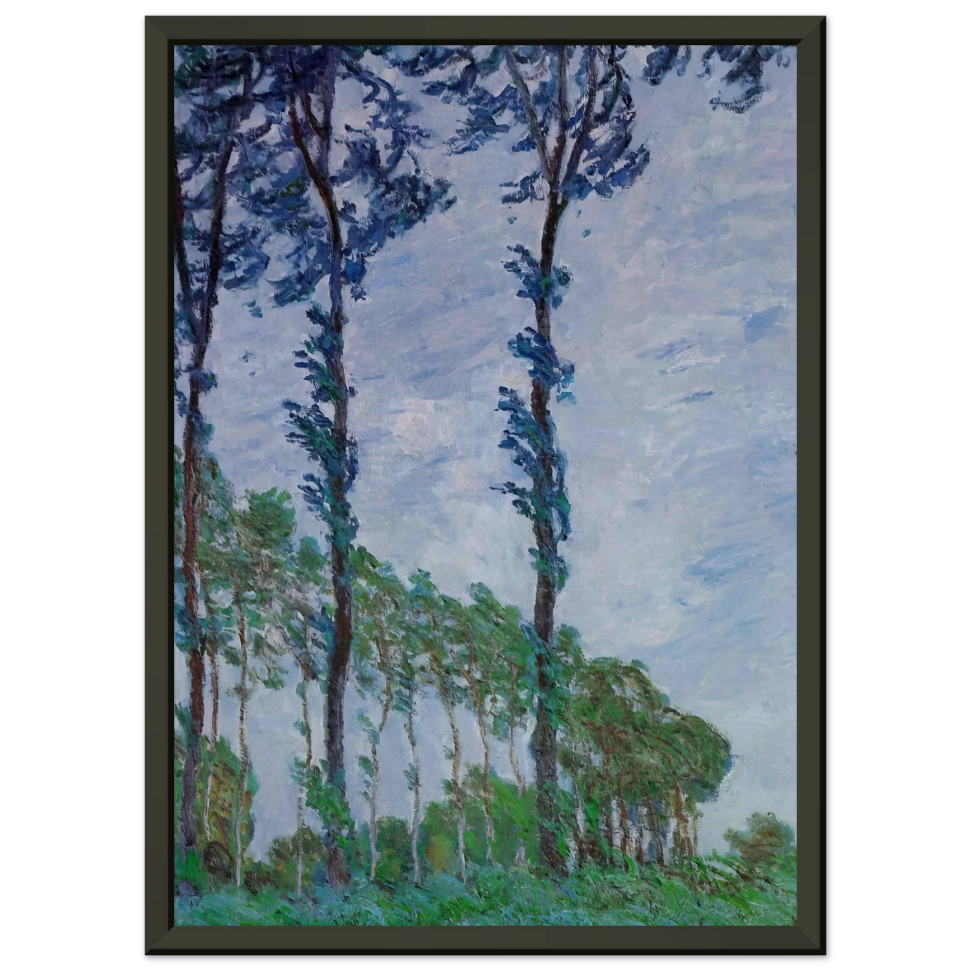 claude monet  Poplars Wind Effect Framed Art Print  - Aluminum Frame - 70x100 cm / 28x40 inches