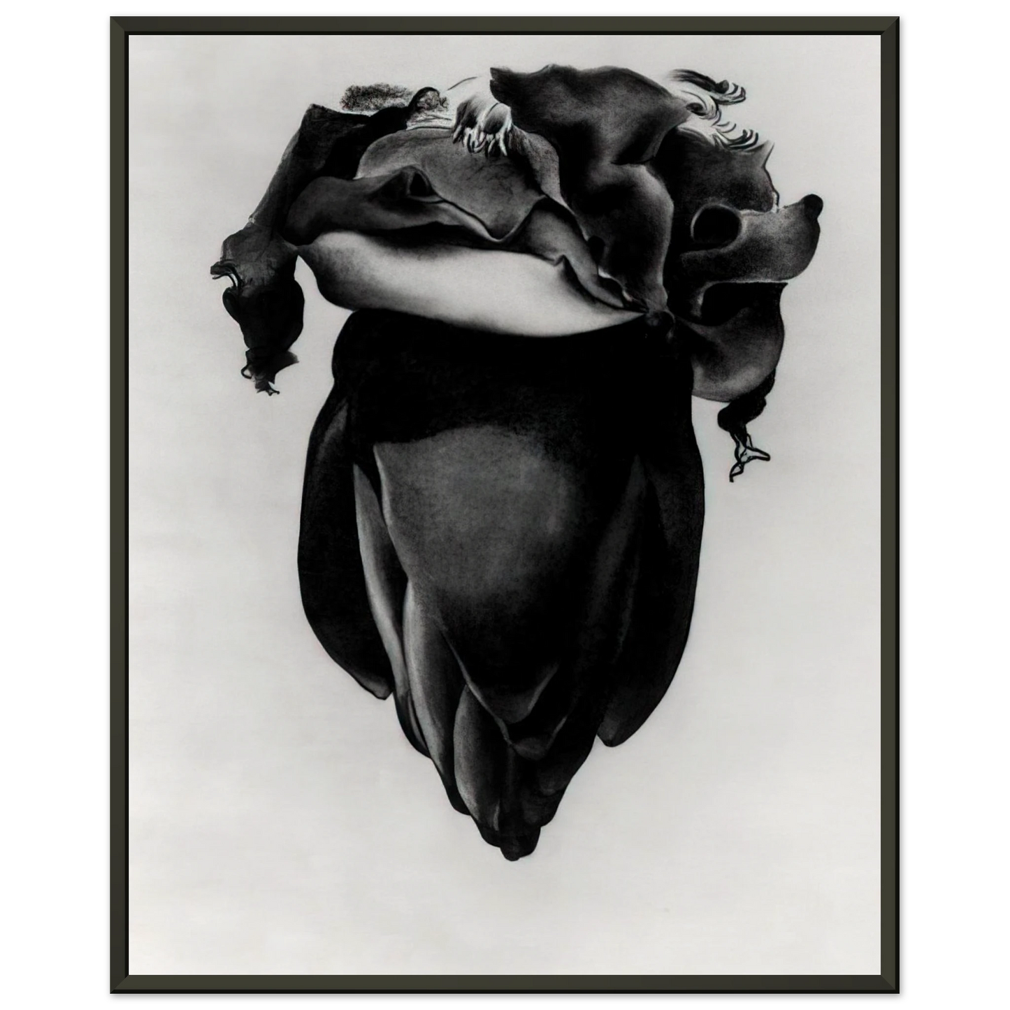 Georgia OKeeffe  Banana Flower Framed Art Print  - Aluminum Frame - 70x100 cm / 28x40 inches