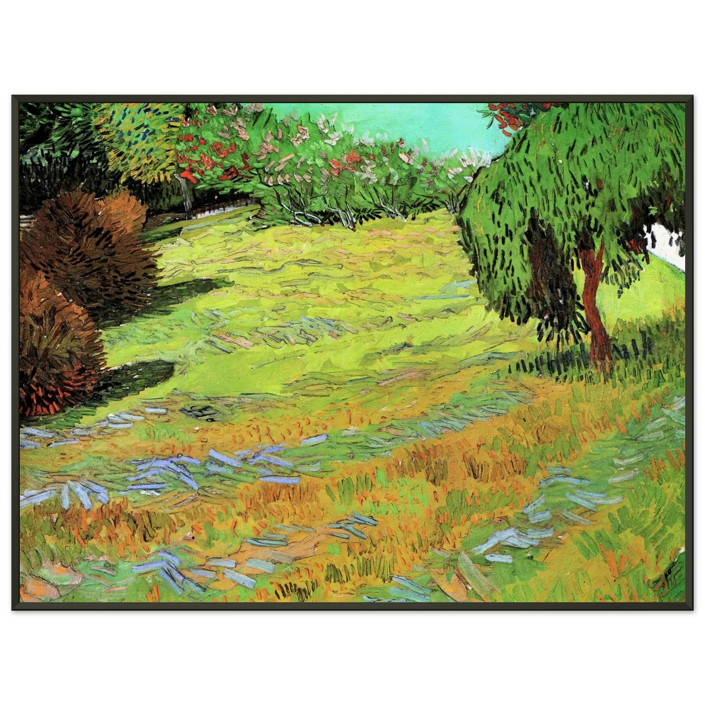 Vincent van Gogh  Sunny Lawn in a Public Park Framed Art Print  - Aluminum Frame - 60x80 cm / 24x32 inches