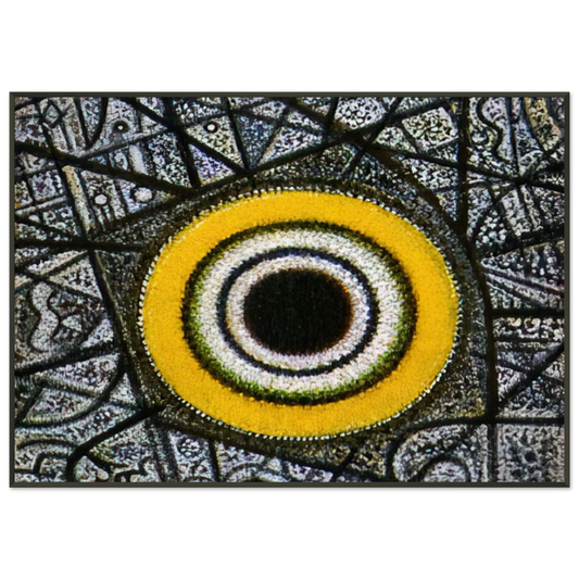 b4443fdb-ddd4-44e4-8c92-8ad909c9f5a9