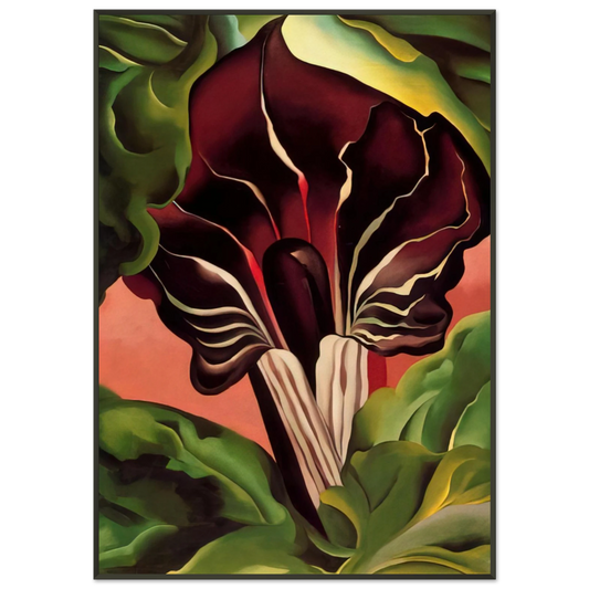 Georgia OKeeffe  JackinthePulpit II Framed Art Print  - Aluminum Frame - 21x29.7 cm / 8x12"