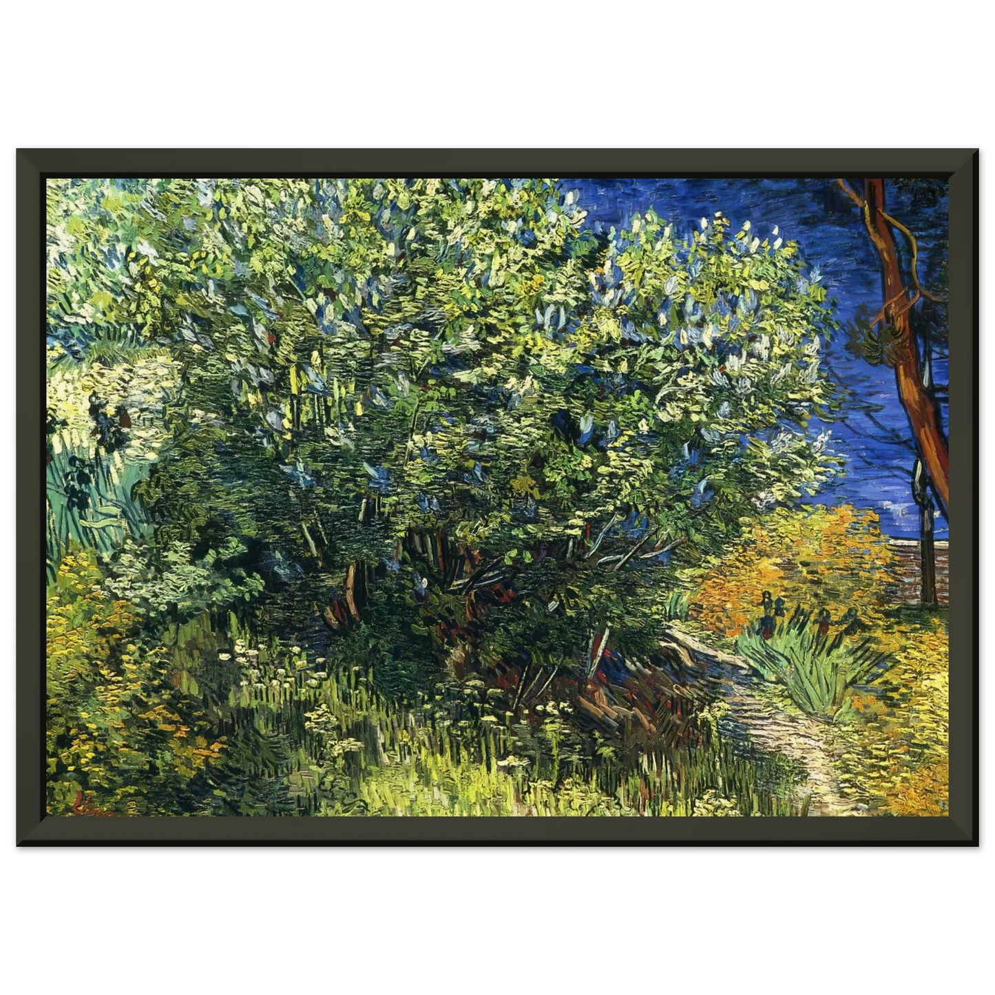 Vincent van Gogh  Lilac Bush Framed Art Print  - Aluminum Frame - 40x50 cm / 16x20 inches