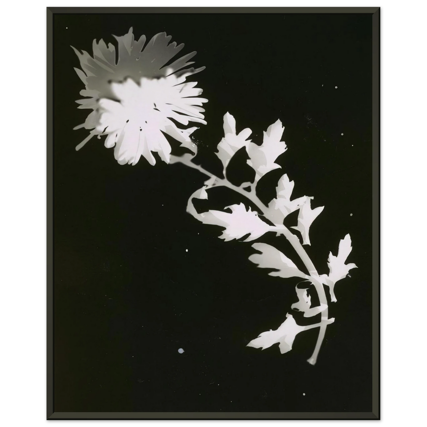 c43e92ff-bef0-4297-971a-2c2c8cbf3564