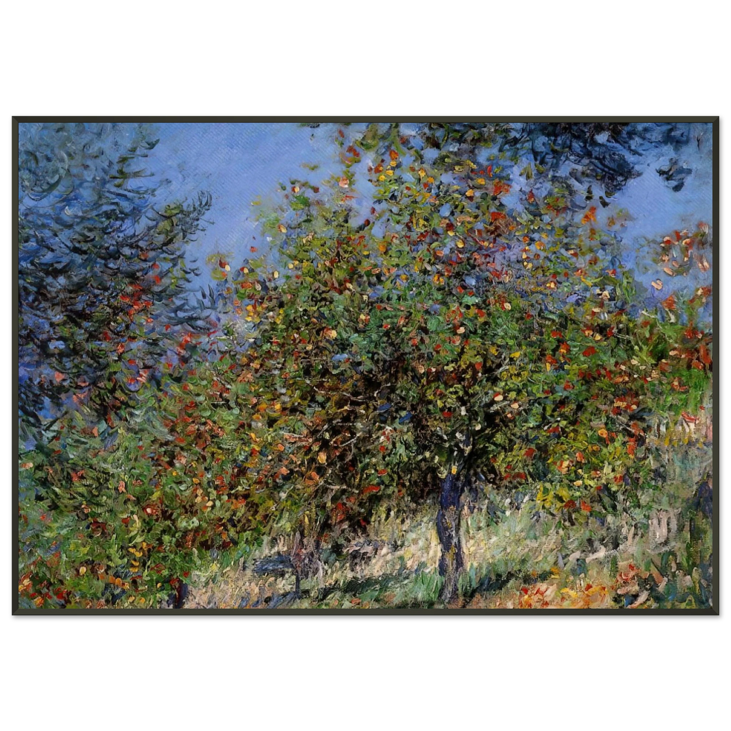 claude monet  Apple Trees on the Chantemesle Hill Framed Art Print  - Aluminum Frame - 21x29.7 cm / 8x12"