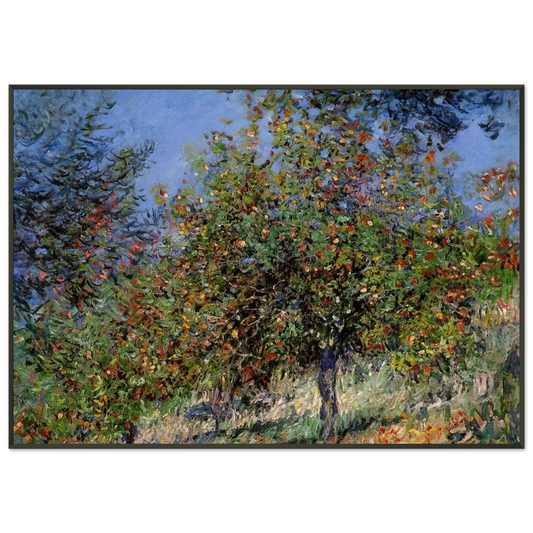 claude monet  Apple Trees on the Chantemesle Hill Framed Art Print  - Aluminum Frame - 21x29.7 cm / 8x12"