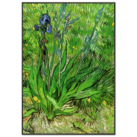 Vincent van Gogh  The Iris Framed Art Print  - Aluminum Frame - 21x29.7 cm / 8x12"