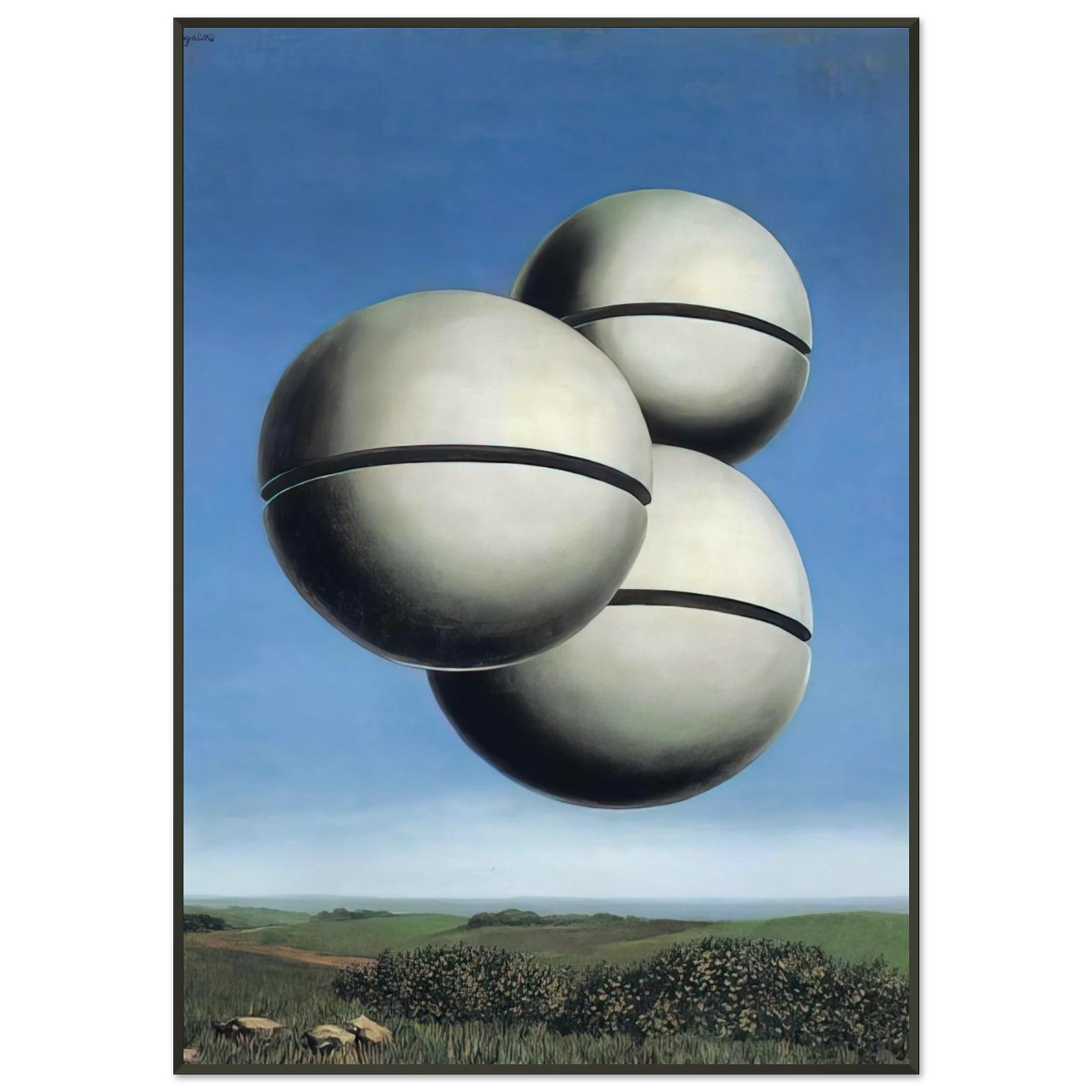 ce957705-3936-4407-bde4-e7be97551aa8