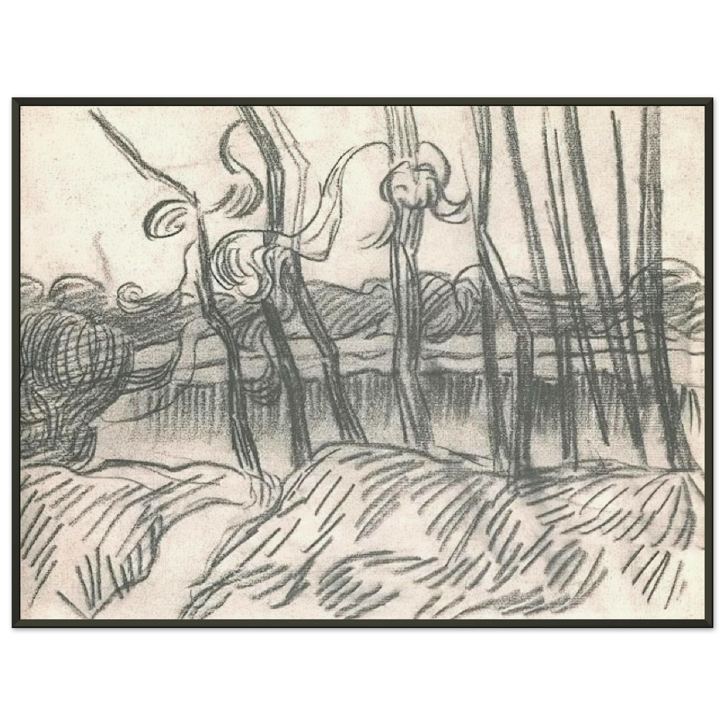 Vincent van Gogh  A Row of Bare Trees Framed Art Print  - Aluminum Frame - 40x50 cm / 16x20 inches