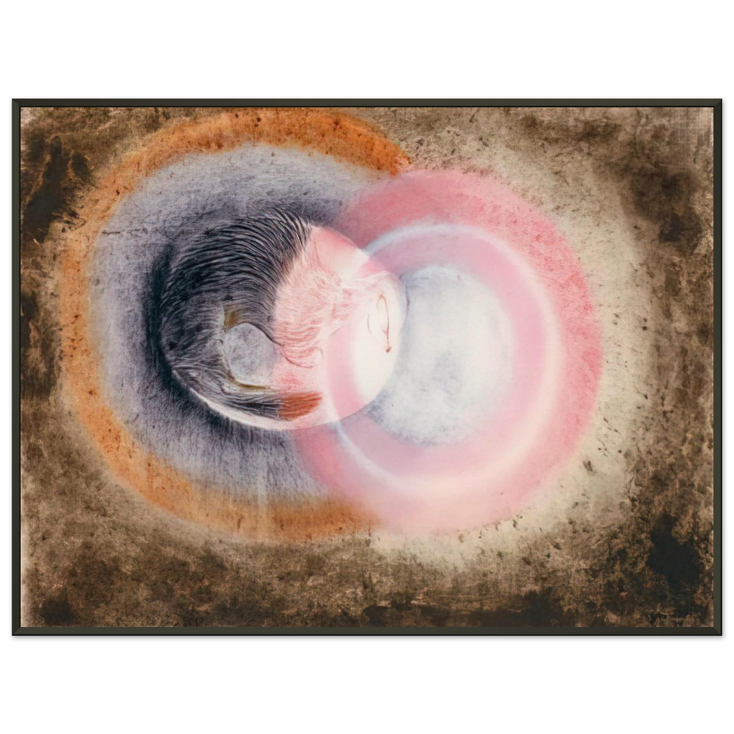 d12ca5e6-cf40-41a2-88ec-807c9904b851