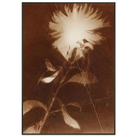 d95ee5f2-6bf7-4d93-90ea-e81f0469a0c5