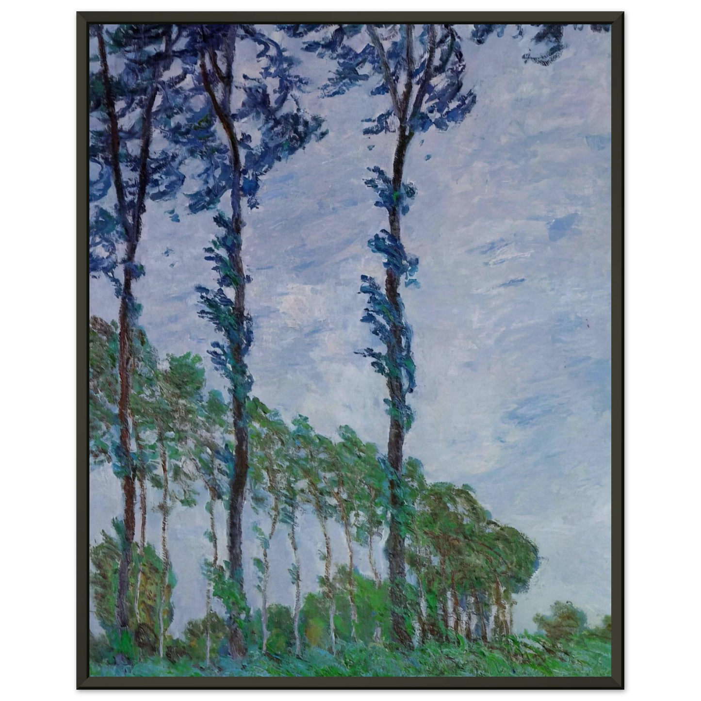 claude monet  Poplars Wind Effect Framed Art Print  - Aluminum Frame - 60x80 cm / 24x32 inches