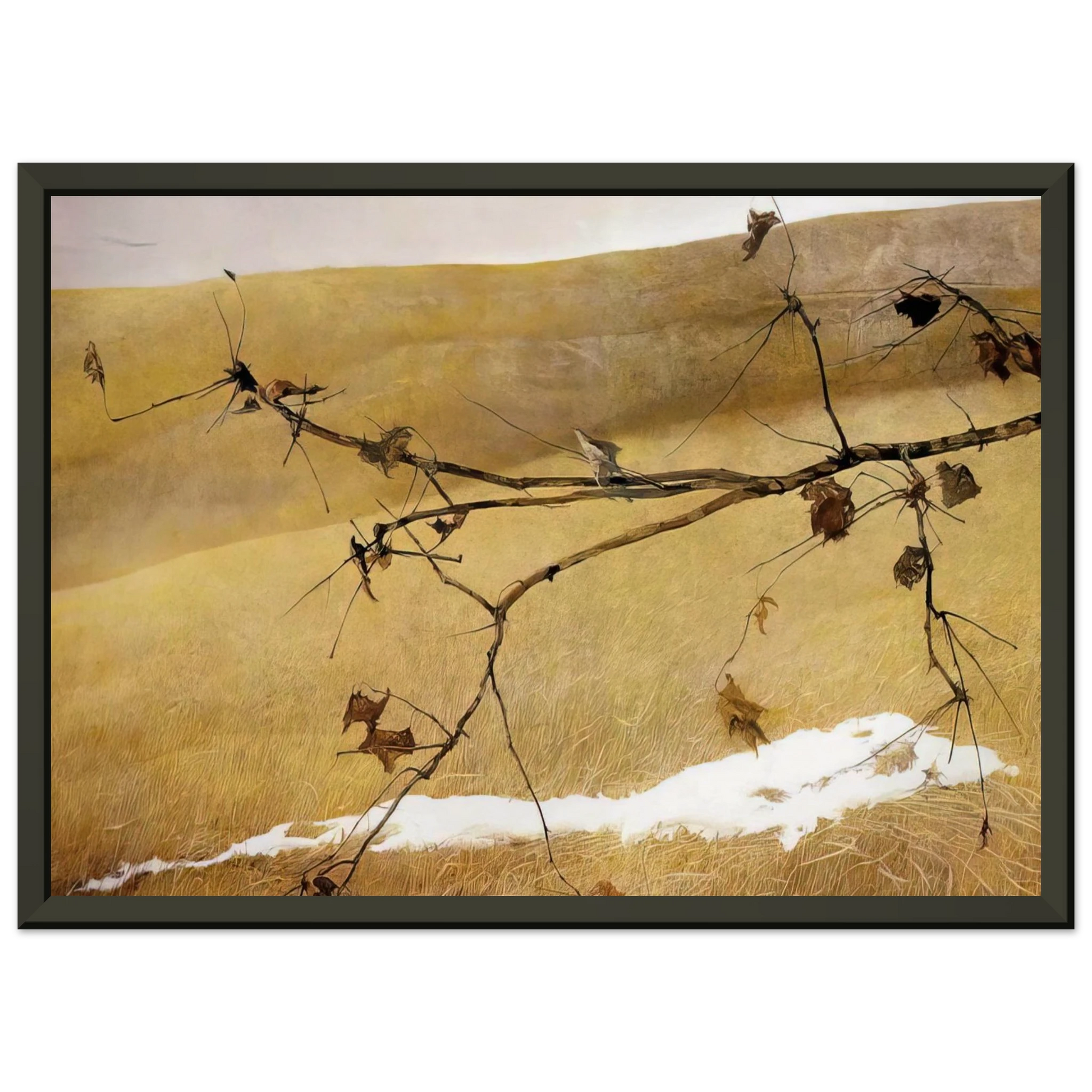 Andrew Wyeth  LONG LIMB Framed Art Print  - Aluminum Frame - 60x80 cm / 24x32 inches