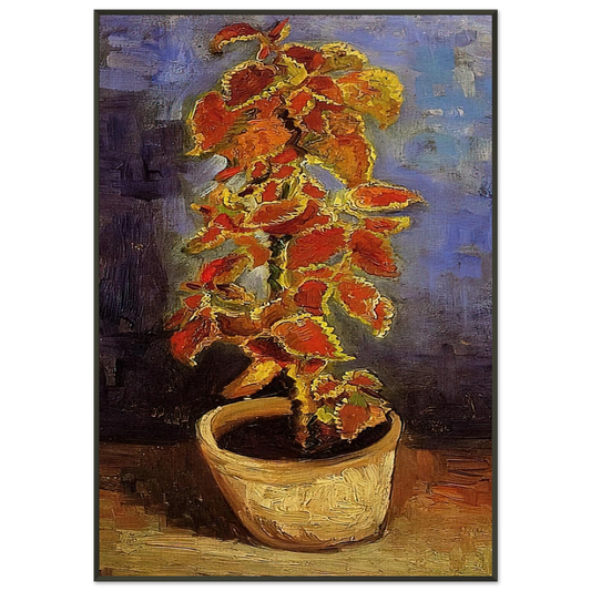 Vincent van Gogh  Coleus Plant in a Flowerpot Framed Art Print  - Aluminum Frame - 21x29.7 cm / 8x12"