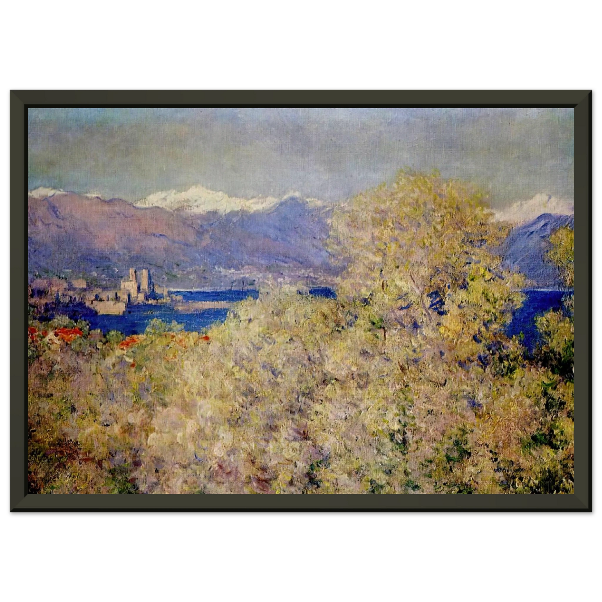 claude monet  Antibes  View of the Salis Gardens Framed Art Print  - Aluminum Frame - 40x50 cm / 16x20 inches