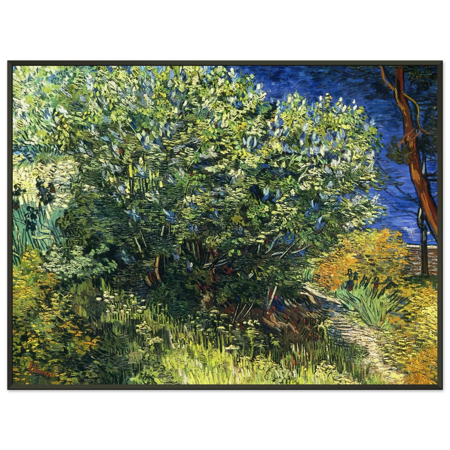 Vincent van Gogh  Lilac Bush Framed Art Print  - Aluminum Frame - 70x100 cm / 28x40 inches