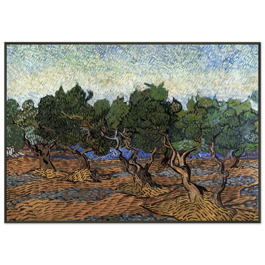 Vincent van Gogh  Olive Grove Framed Art Print  - Aluminum Frame - 21x29.7 cm / 8x12"
