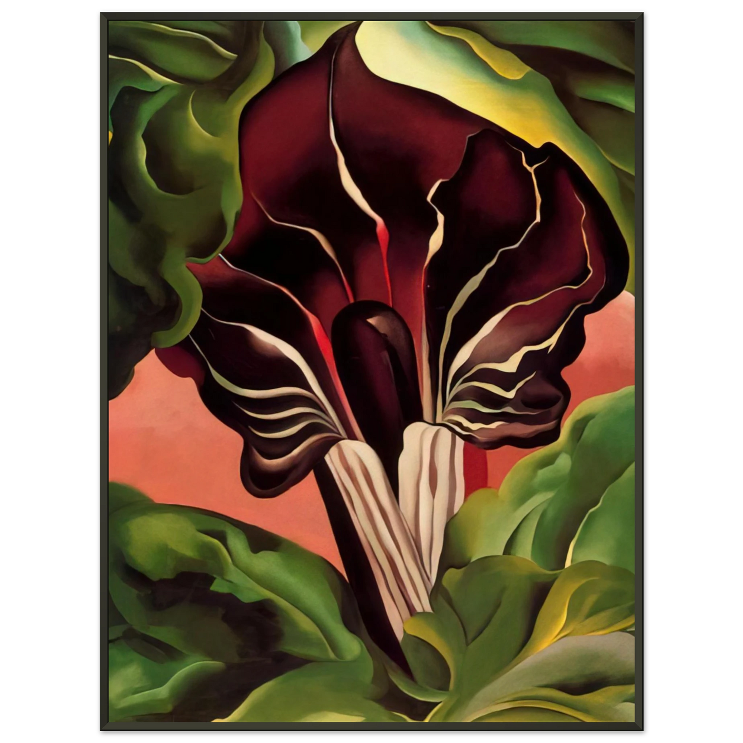 Georgia OKeeffe  JackinthePulpit II Framed Art Print  - Aluminum Frame - 70x100 cm / 28x40 inches