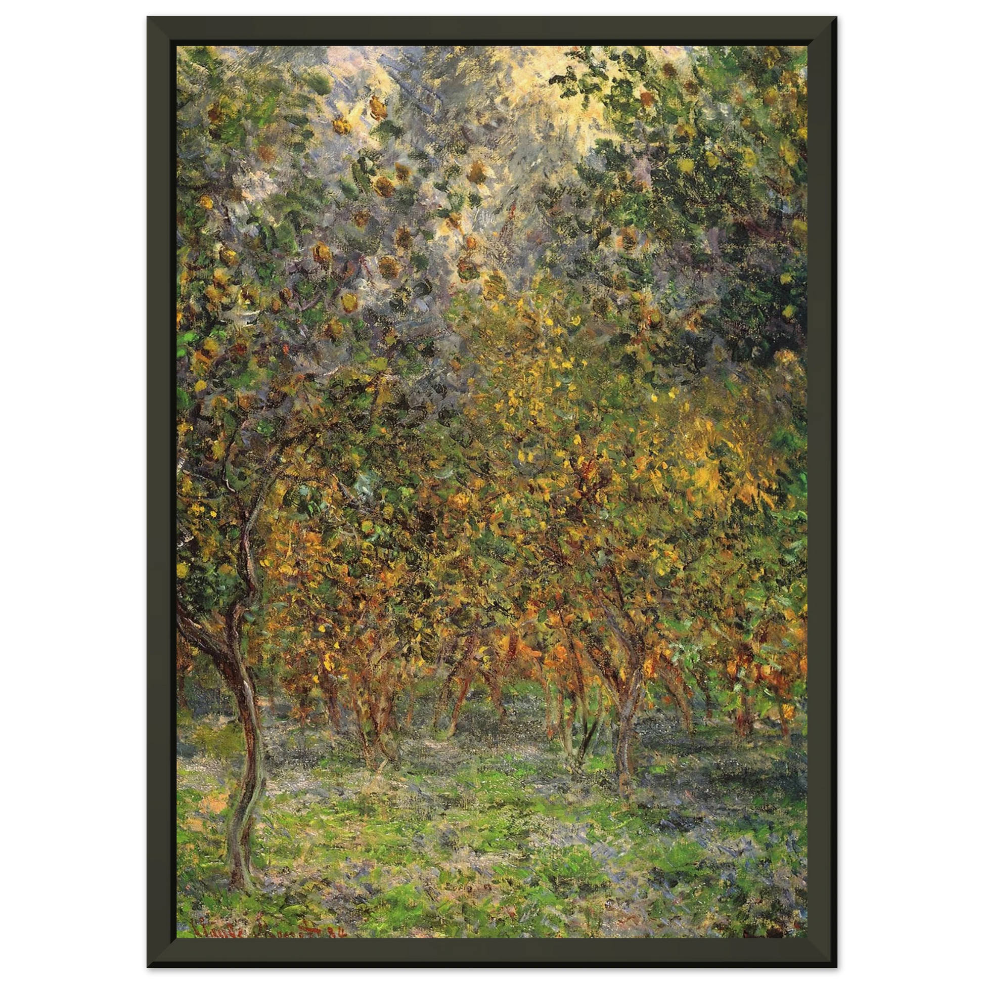 claude monet  Under the Lemon Trees Framed Art Print  - Aluminum Frame - 40x50 cm / 16x20 inches