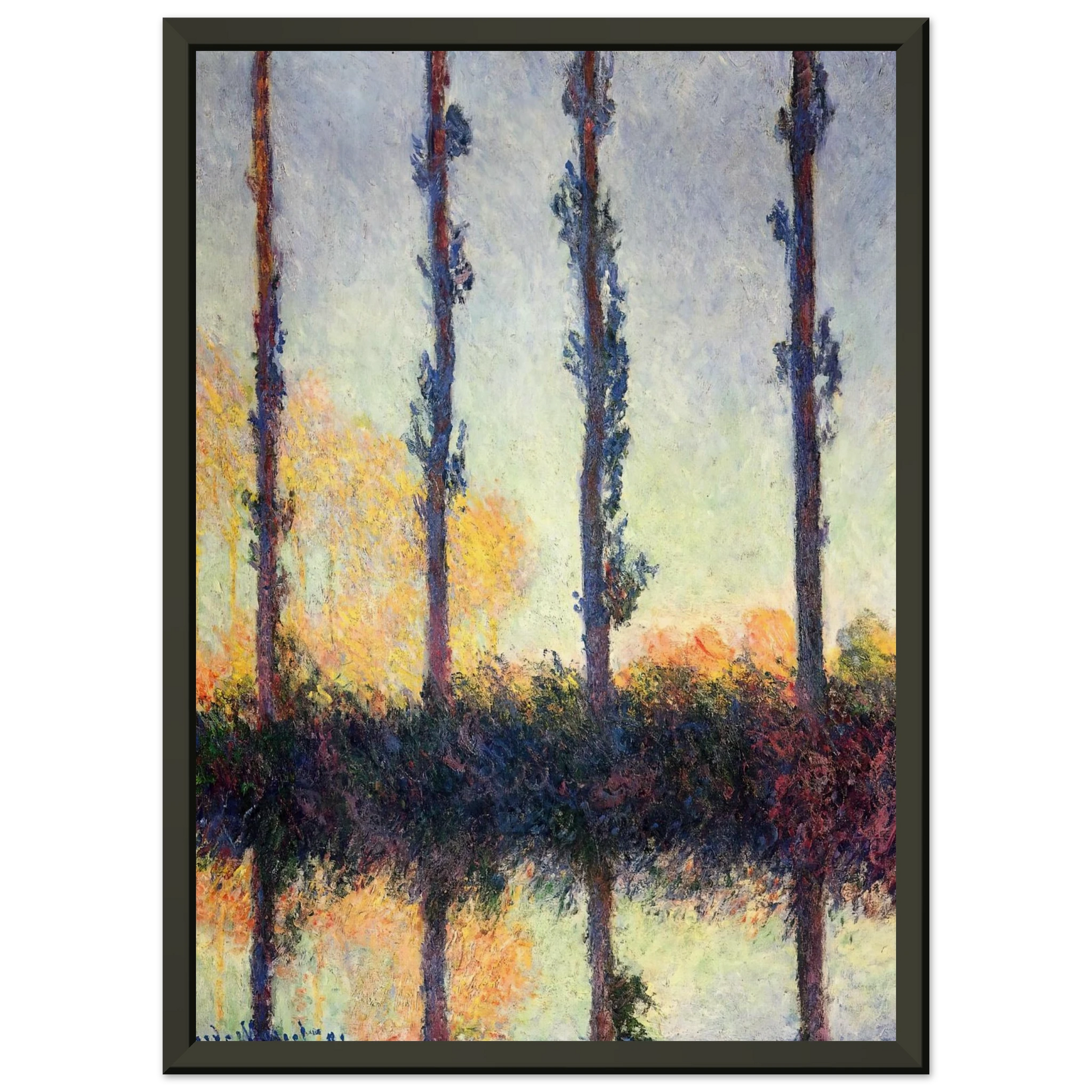 claude monet  Poplars Four Trees Framed Art Print  - Aluminum Frame - 70x100 cm / 28x40 inches