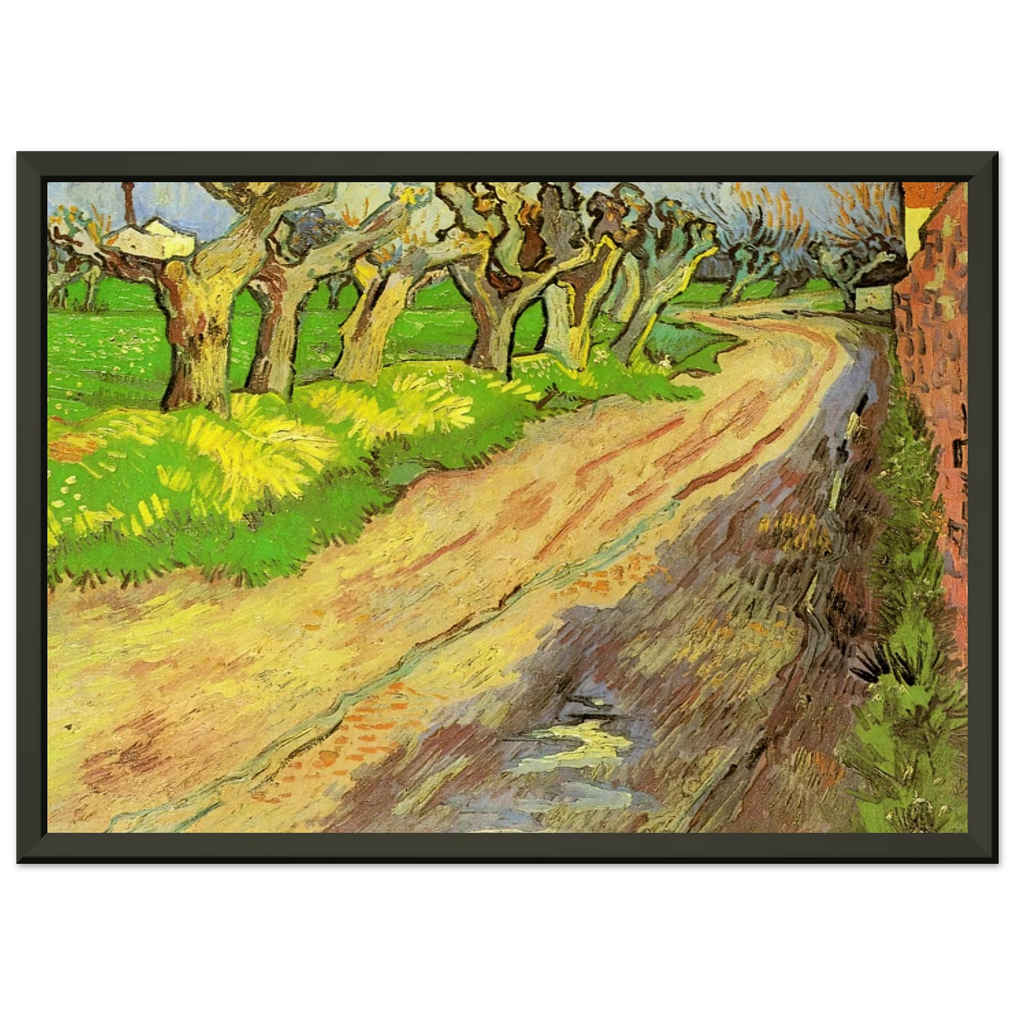 Vincent van Gogh  Pollard Willows Framed Art Print  - Aluminum Frame - 60x80 cm / 24x32 inches