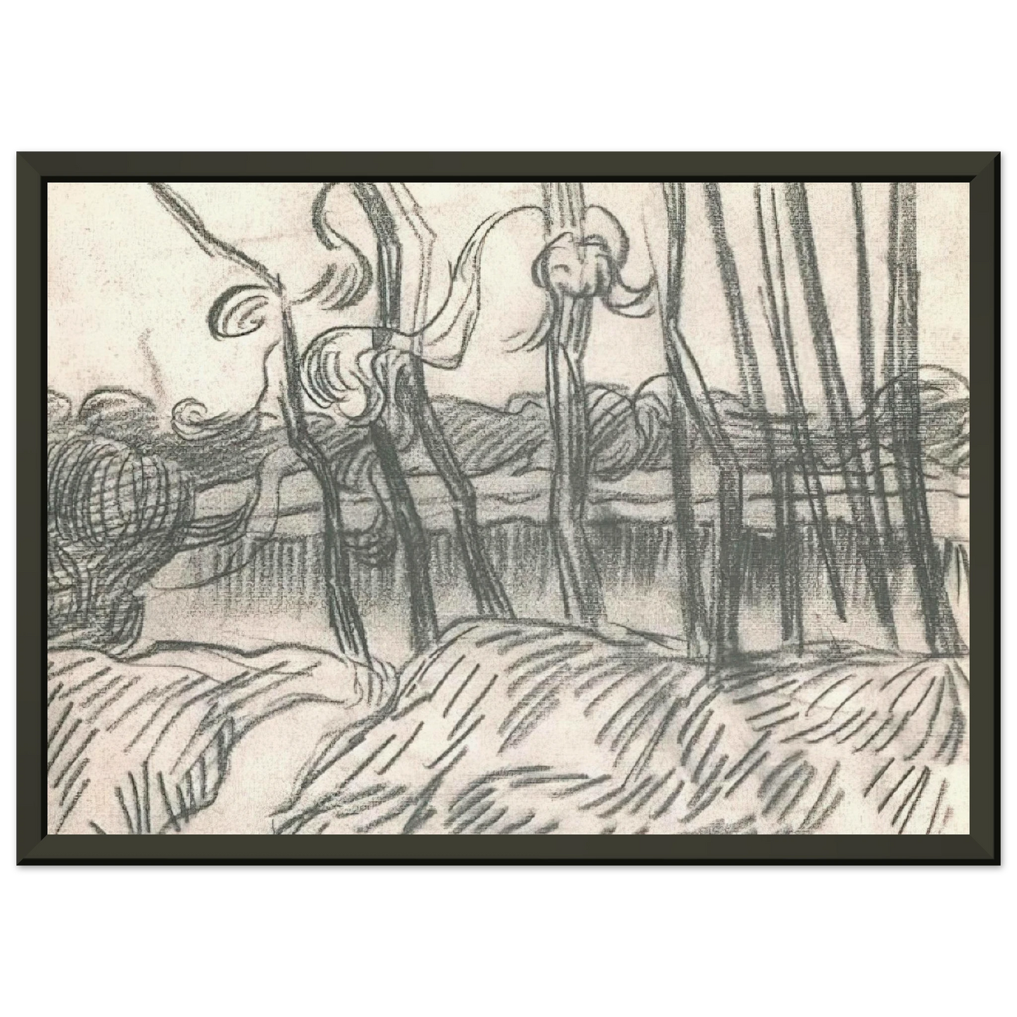 Vincent van Gogh  A Row of Bare Trees Framed Art Print  - Aluminum Frame - 60x80 cm / 24x32 inches